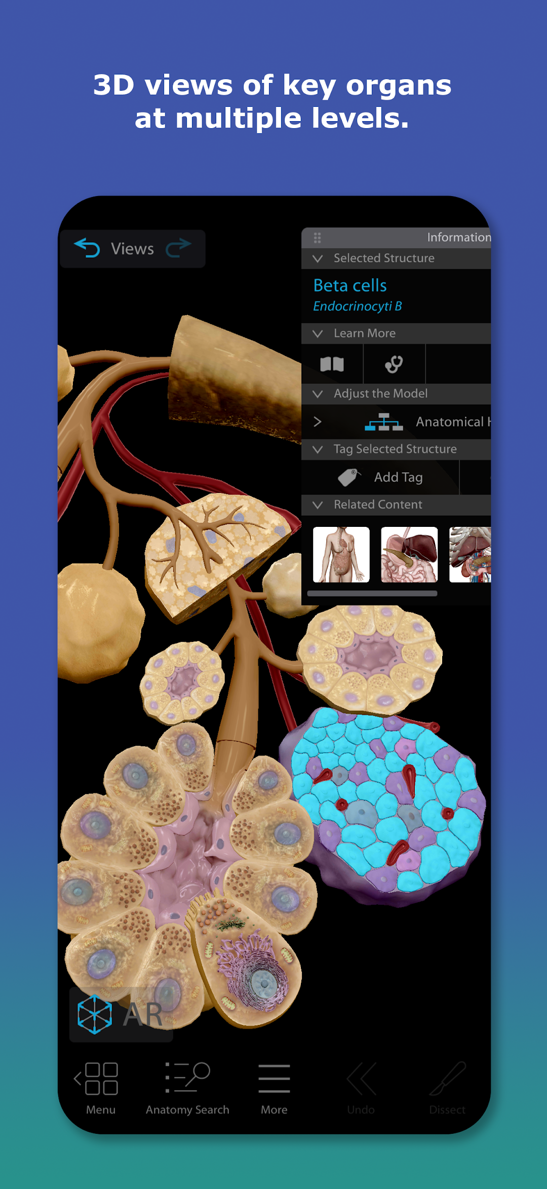 Human Anatomy Atlas 2026 mod apk screenshot 2