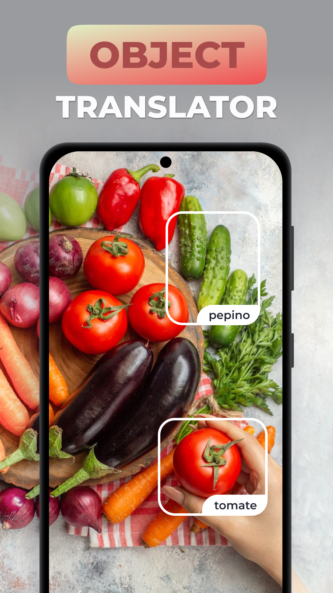 Photo Translator All languages mod apk screenshot 2