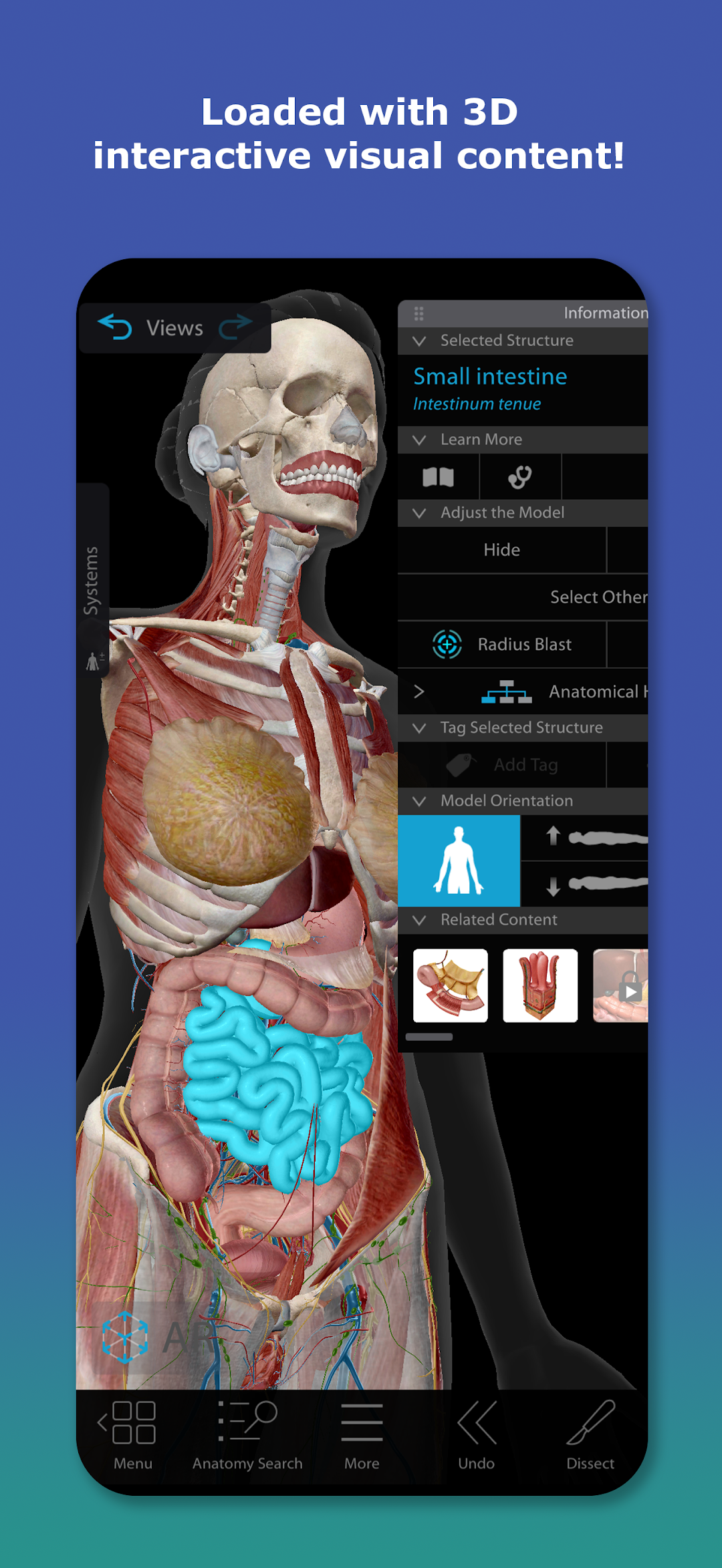 Human Anatomy Atlas 2026 mod apk screenshot 1